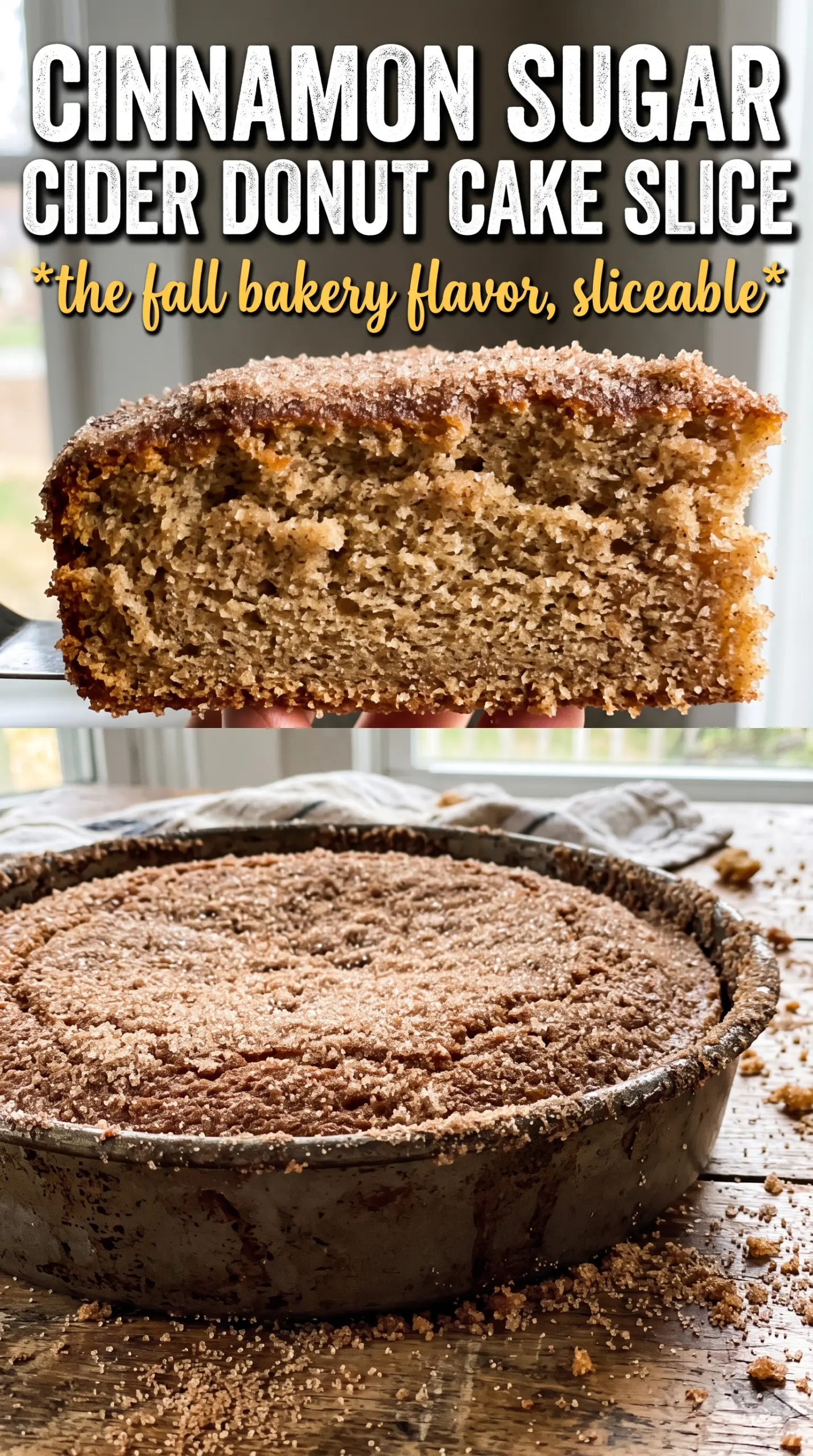 Apple Cider Donut Snack Cake golden cinnamon sugar tender crumb